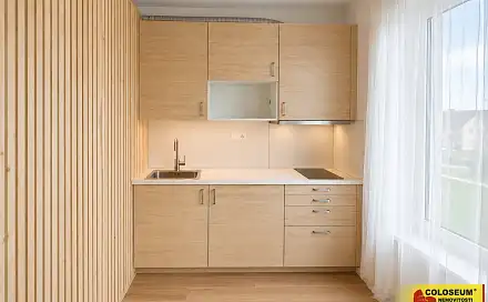 Pronájem bytu 1+kk 27 m², Brno - Staré Brno