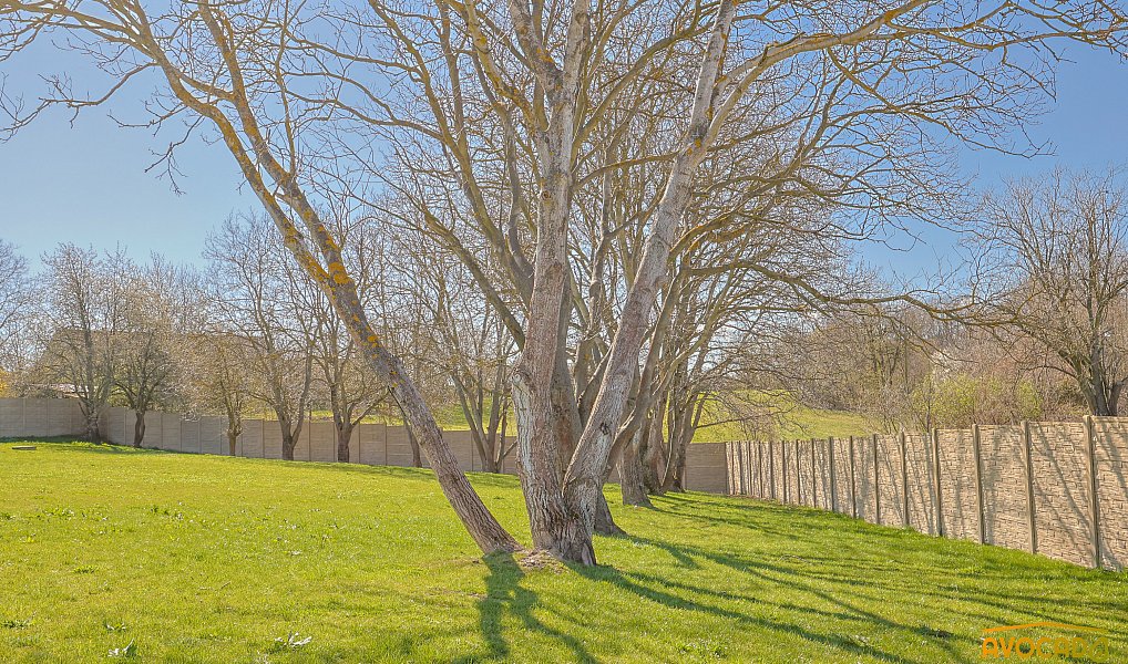 Prodej stavebního pozemku 2 900 m², Malešov – náhled fotky 10