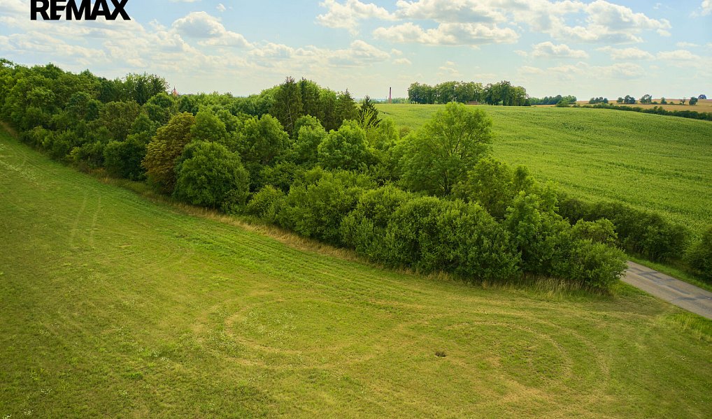 Prodej pole 46 475 m², Jeníkovice – náhled fotky 6