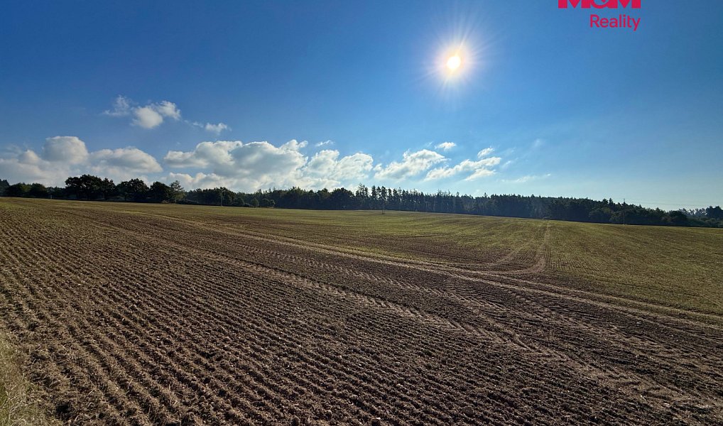 Prodej pole 46 982 m², Ratibořské Hory – náhled fotky 12