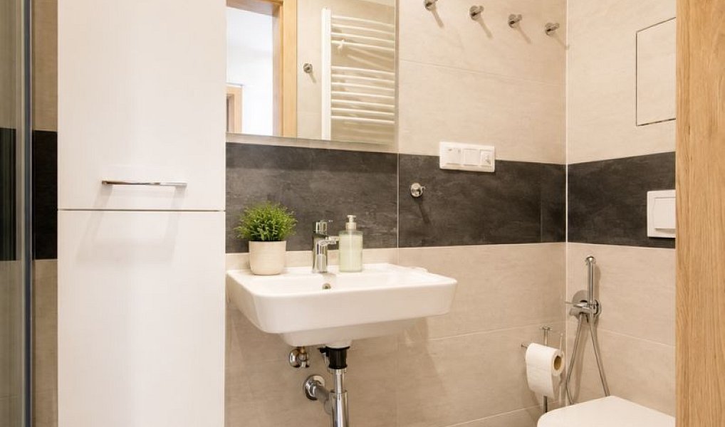 Prodej bytu 1+kk 35 m², Loučná pod Klínovcem – náhled fotky 7