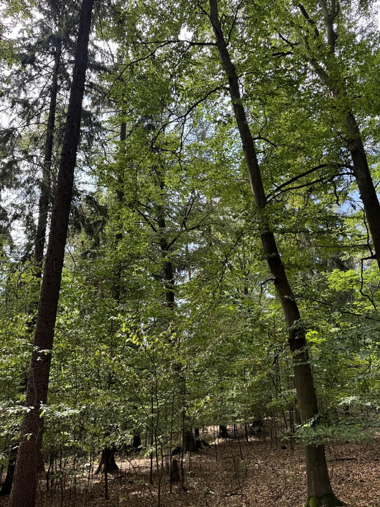 Fotka 6 z 16
