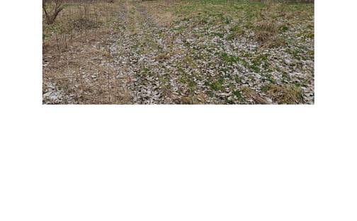 Prodej pozemku 5 673 m², Horní Slavkov, okres Sokolov