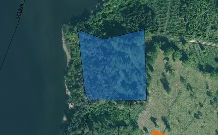 Prodej lesa 2 350 m², Jetětice, okres Písek