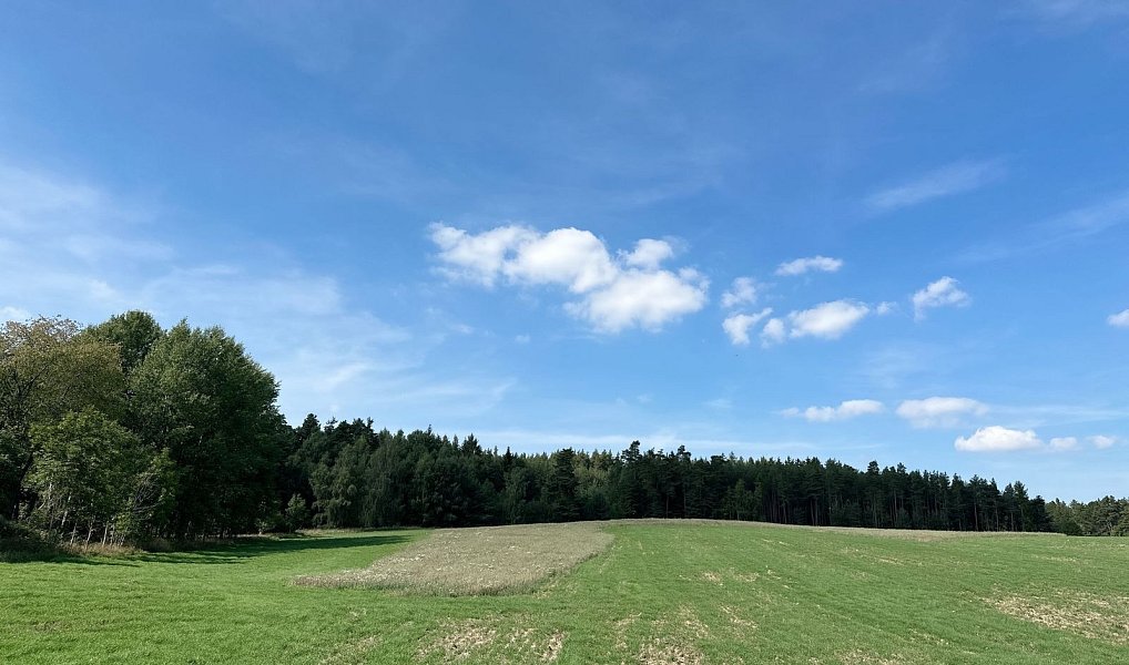 Prodej lesa 12 651 m², Dlouhý Újezd – náhled fotky 2