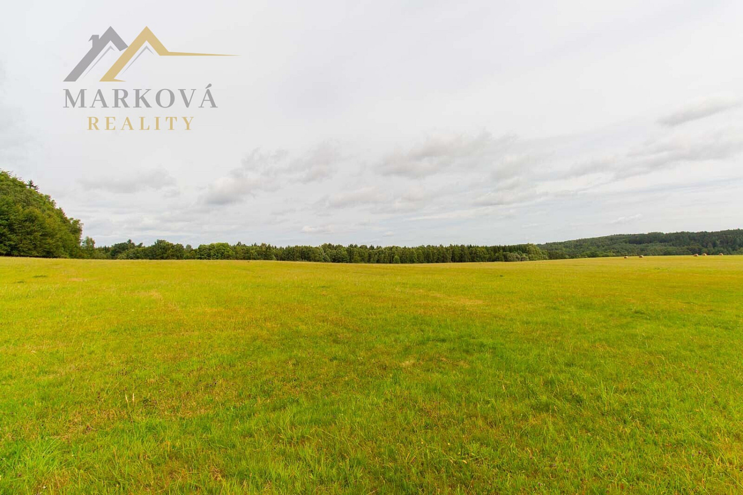 Prodej louky 98 591 m² — photo 2
