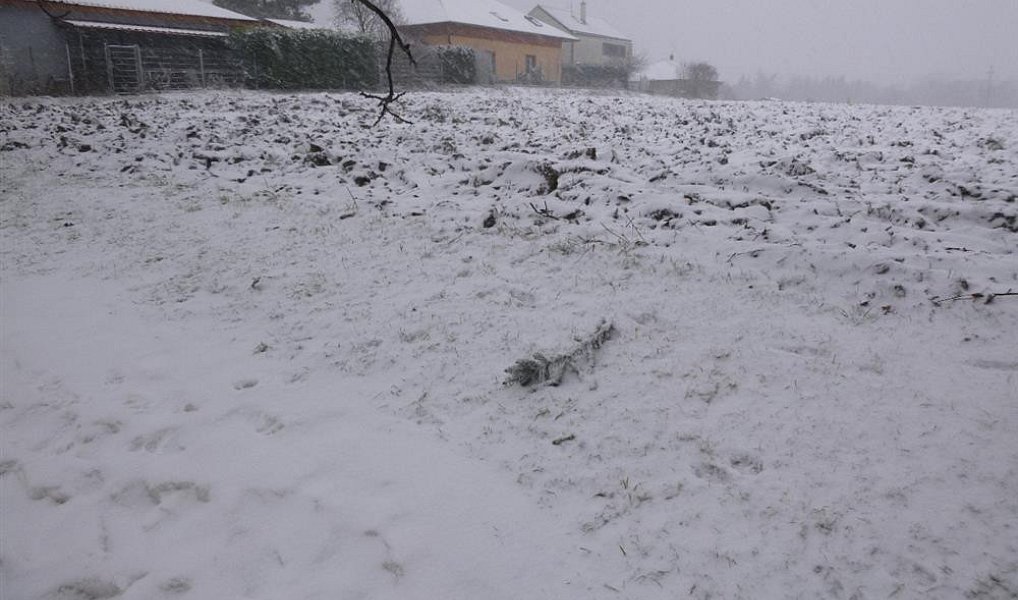 Dražba, Pozemek, 1638 m²