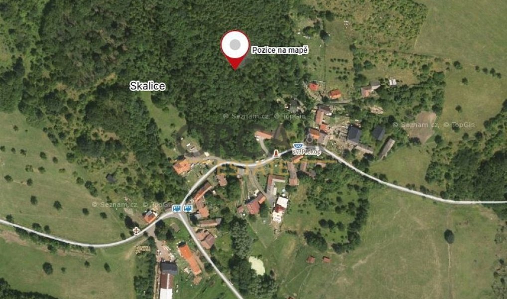 Prodej lesa 15 940 m², Třebívlice – náhled fotky 2