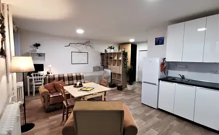 Pronájem bytu 1+kk 35 m², Revoluční, Litoměřice - Předměstí