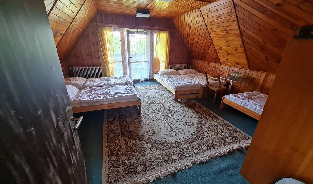Prodej komerčního objektu (jiného typu) 750 m², Frymburk – náhled fotky 10