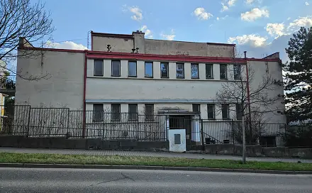 Dražba vily 1 753 m², Lipová, Brno - Pisárky
