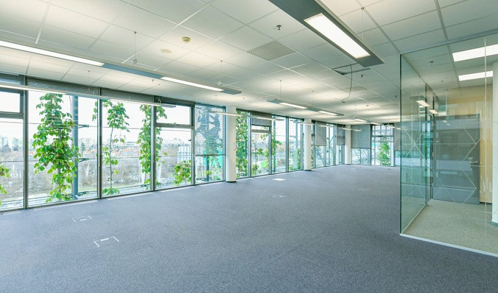 Pronájem kanceláře 937 m², Praha – náhled fotky 6