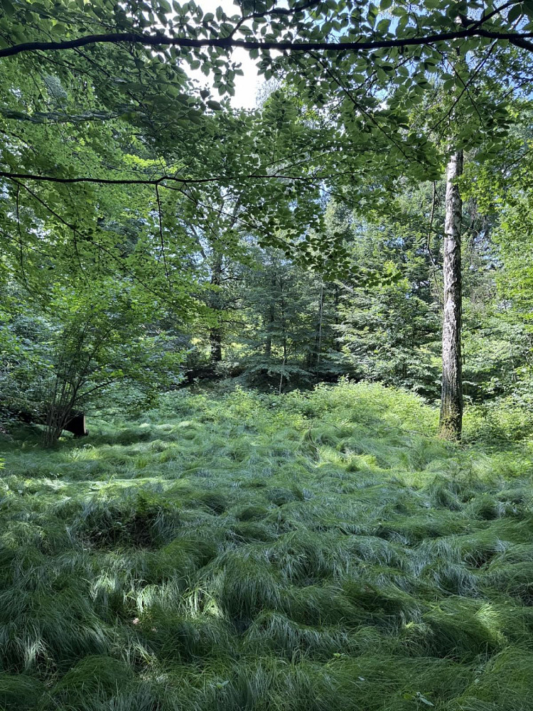 Prodej vodní plochy 12 501 m² – fotografie 3