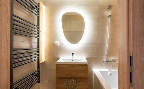 Pronájem bytu 3+1 66 m², Švabinského, Sokolov