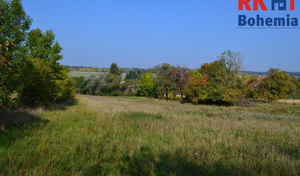 Prodej chaty/chalupy 120 m² s pozemkem 16 365 m², Cholenice – náhled fotky 12