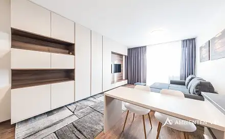Pronájem bytu 1+kk 36 m², Reissigova, Brno - Ponava