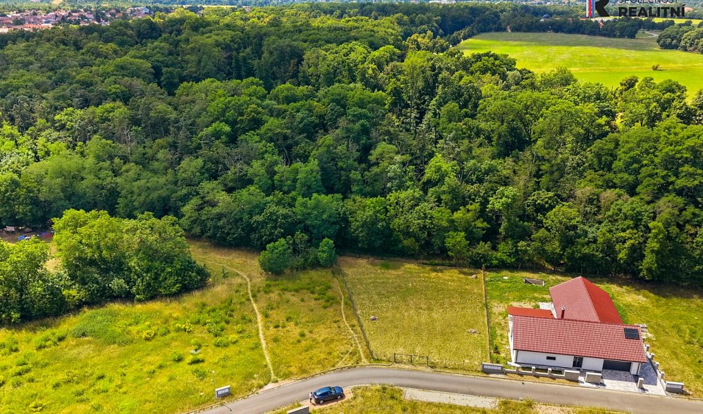Prodej domu 200 m² s pozemkem 900 m², Veltrusy – náhled fotky 40