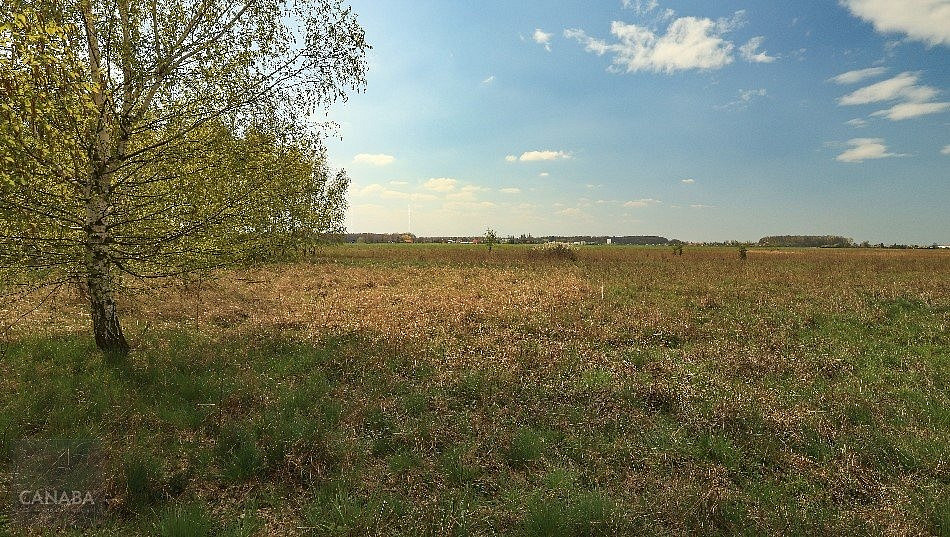 Prodej domu 132 m² s pozemkem 818 m² – fotografie 3