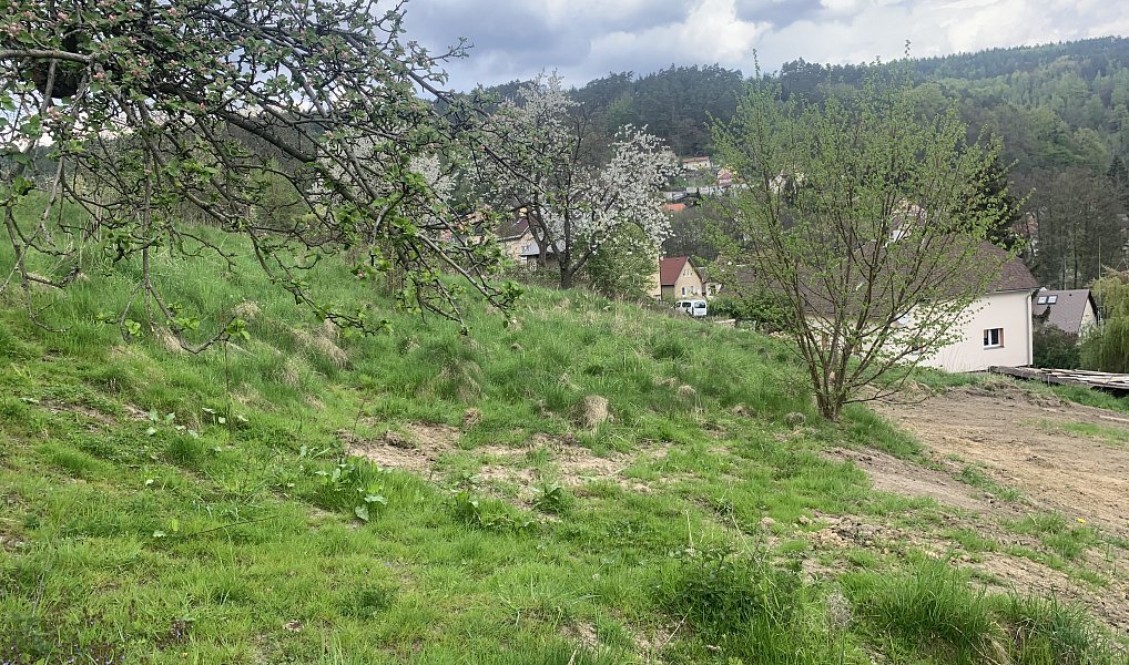 Prodej stavebního pozemku 2 637 m², Děčín – náhled fotky 19
