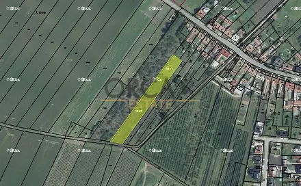 Ostatní