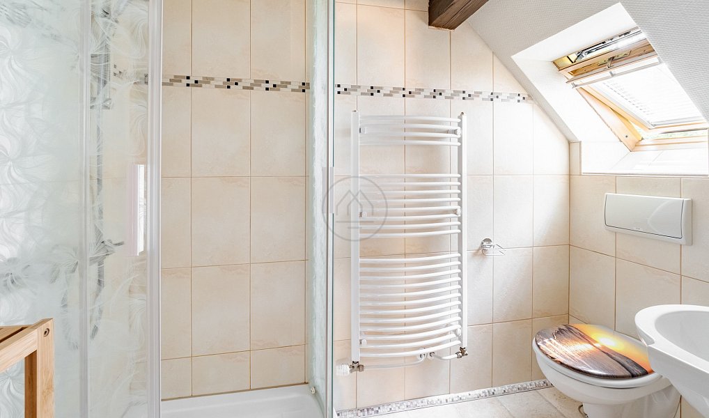 Prodej domu 303 m² s pozemkem 27 142 m², Frymburk – náhled fotky 26