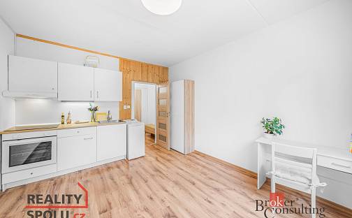 Pronájem bytu 1+kk 19 m², Na Dlouhých, Plzeň - Doubravka