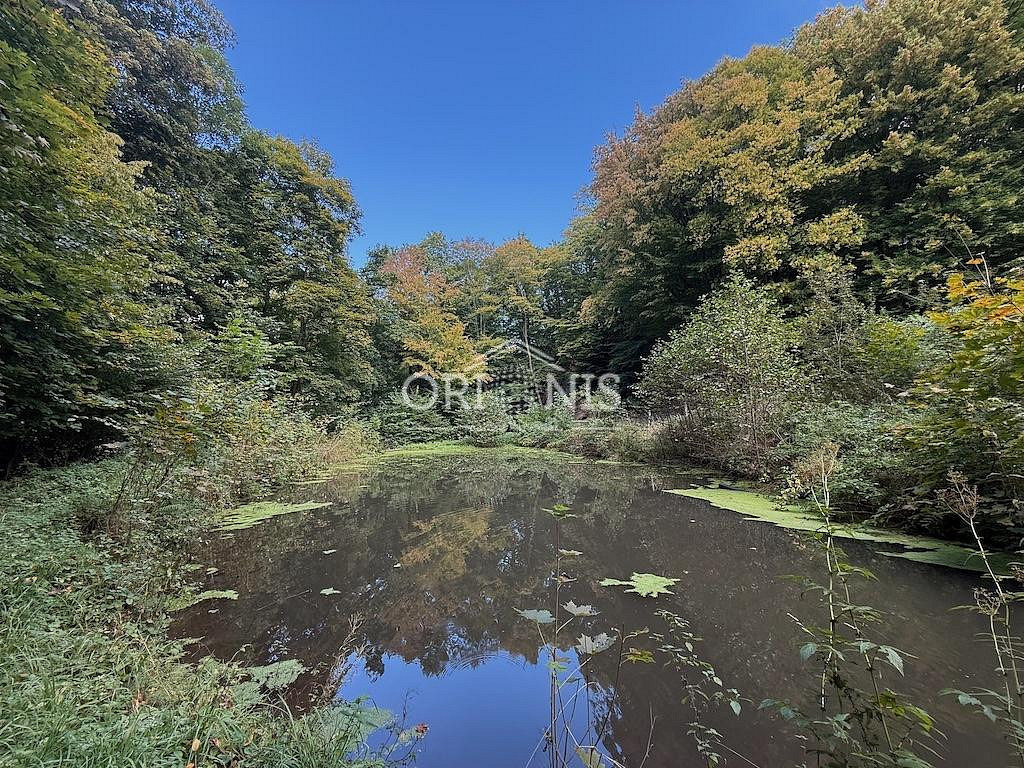 Prodej domu 600 m² s pozemkem 83 559 m² – fotografie 5