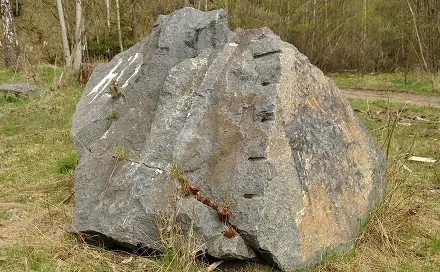 Prodej pozemku 19 816 m², Chodová Planá, okres Tachov