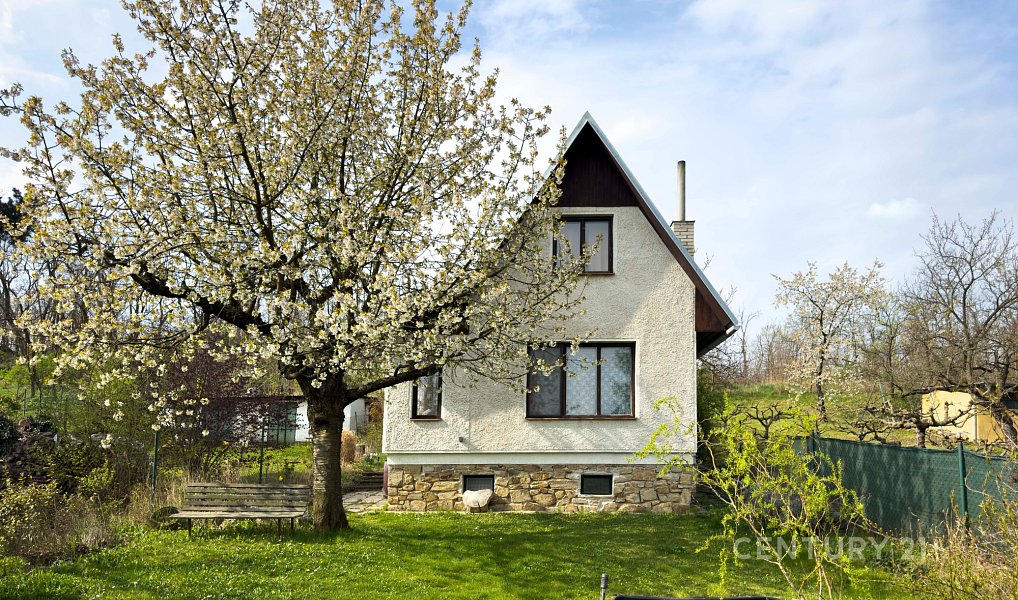 Prodej zahrady 1 157 m², Dyje – náhled fotky 10