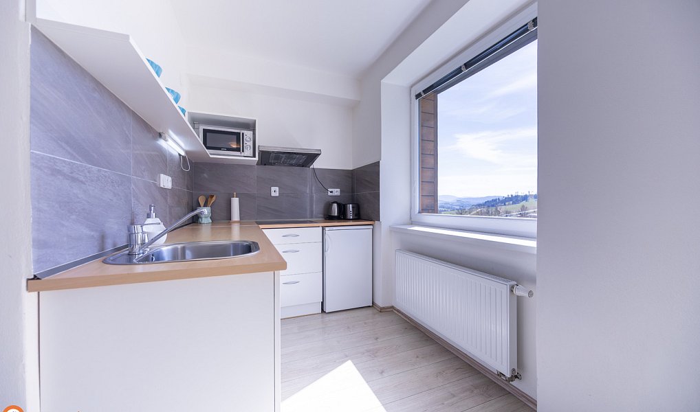Prodej komerčního objektu (jiného typu) 30 m², Staré Město – náhled fotky 5