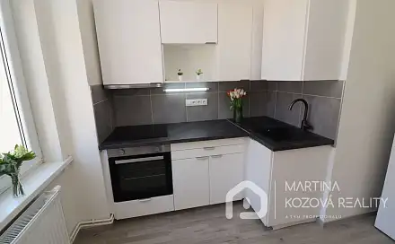 Pronájem bytu 2+1 53 m²