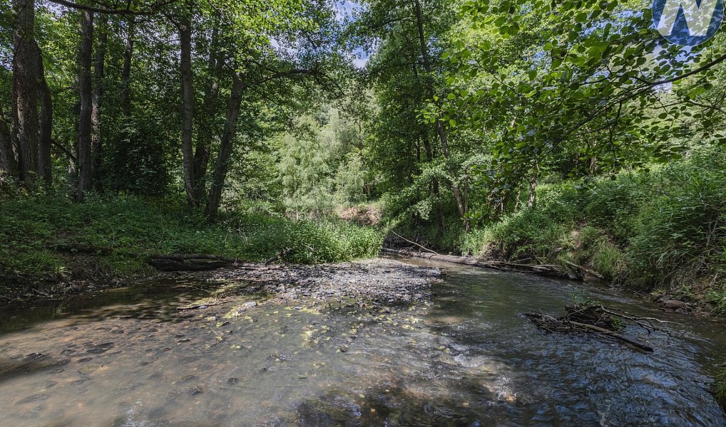 Prodej vodní plochy 1 939 m², Planá – náhled fotky 12
