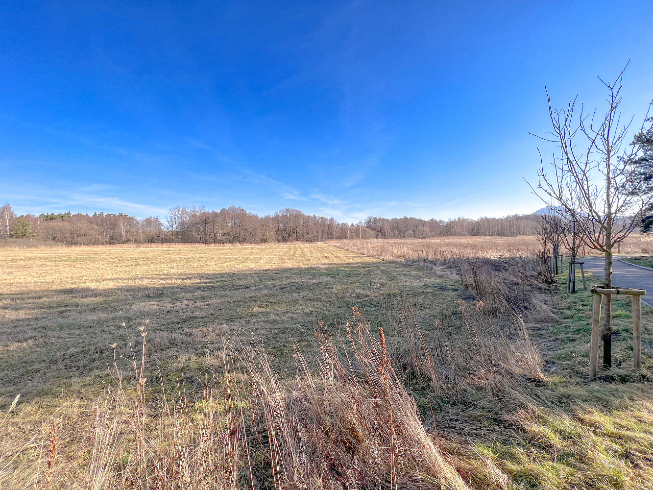 Prodej zahrady 959 m² – fotografie 2