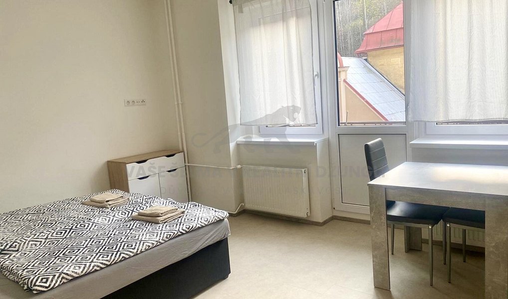 Pronájem bytu 1+kk 32 m², Jáchymov – náhled fotky 15