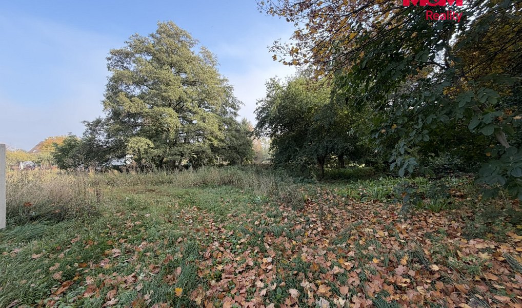 Prodej pozemku 2 259 m², Údlice – náhled fotky 4