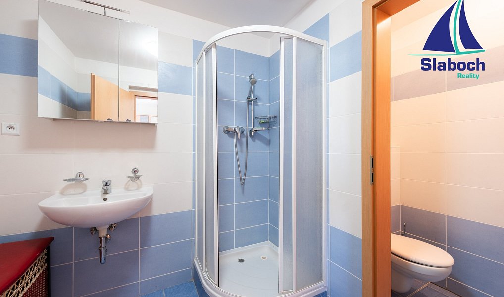 Pronájem bytu 3+kk 111 m², Praha – náhled fotky 10