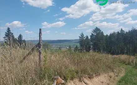 Prodej lesa 2 317 m², Spešov, okres Blansko