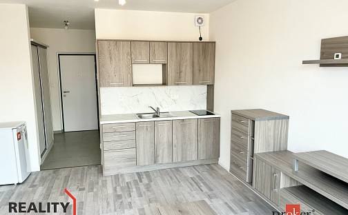 Pronájem bytu 1+kk 35 m², Kartónová, Plzeň - Východní Předměstí