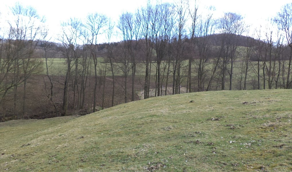 Prodej pole 4 633 m², Heřmanov – náhled fotky 4