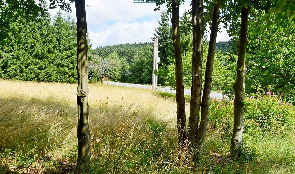 Prodej stavebního pozemku 880 m², Pěnčín – náhled fotky 6