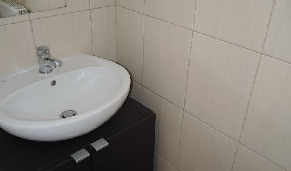 Pronájem domu 120 m² s pozemkem 330 m², Praha – náhled fotky 35