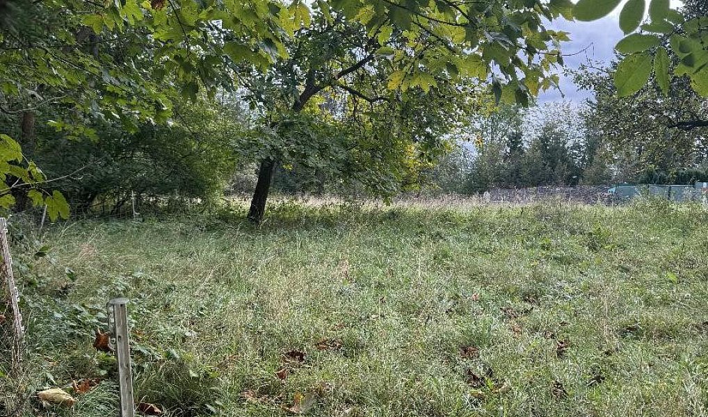 Prodej pozemku 10 821 m², Velké Svatoňovice – náhled fotky 3
