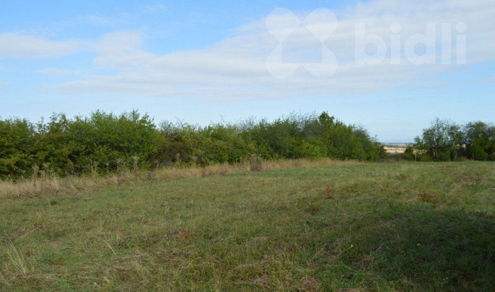 Prodej stavebního pozemku 28 286 m², Slaný – náhled fotky 11