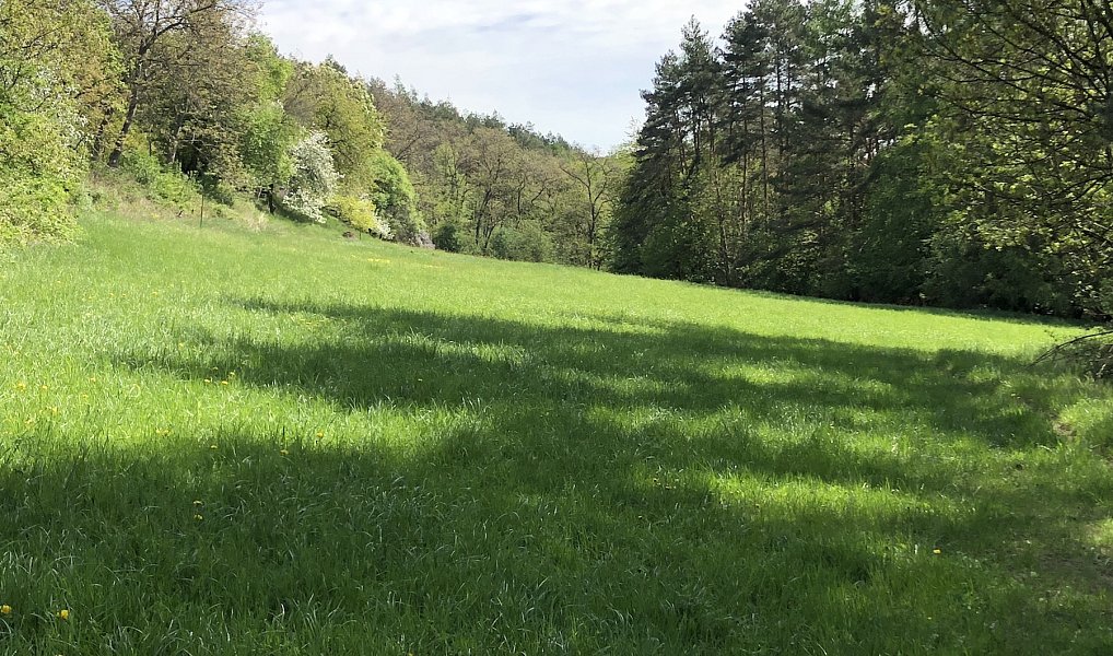 Prodej louky 24 023 m², Praha – náhled fotky 4