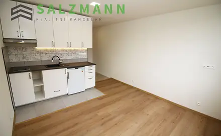 Pronájem bytu 1+kk 2 m², Dolní Bělá, okres Plzeň-sever