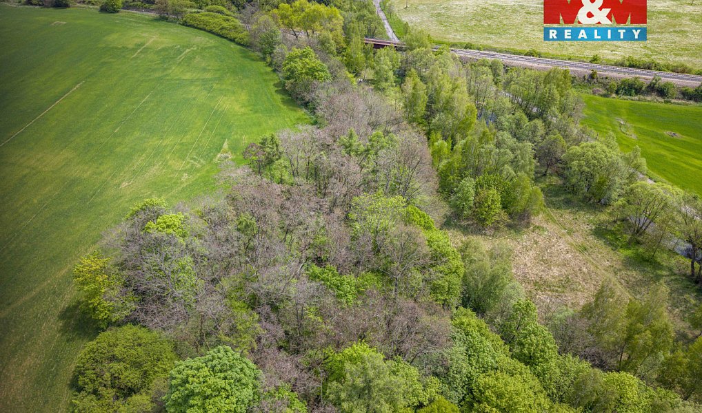 Prodej lesa 909 m², Trhové Dušníky – náhled fotky 5