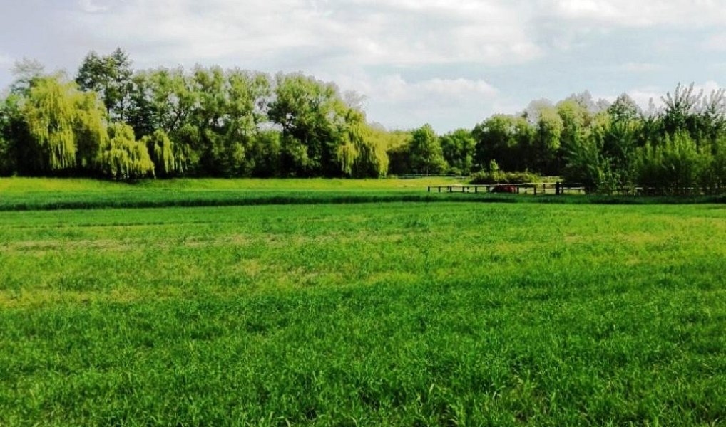 Prodej komerčního pozemku 2 500 m², Mohelnice – náhled fotky 2