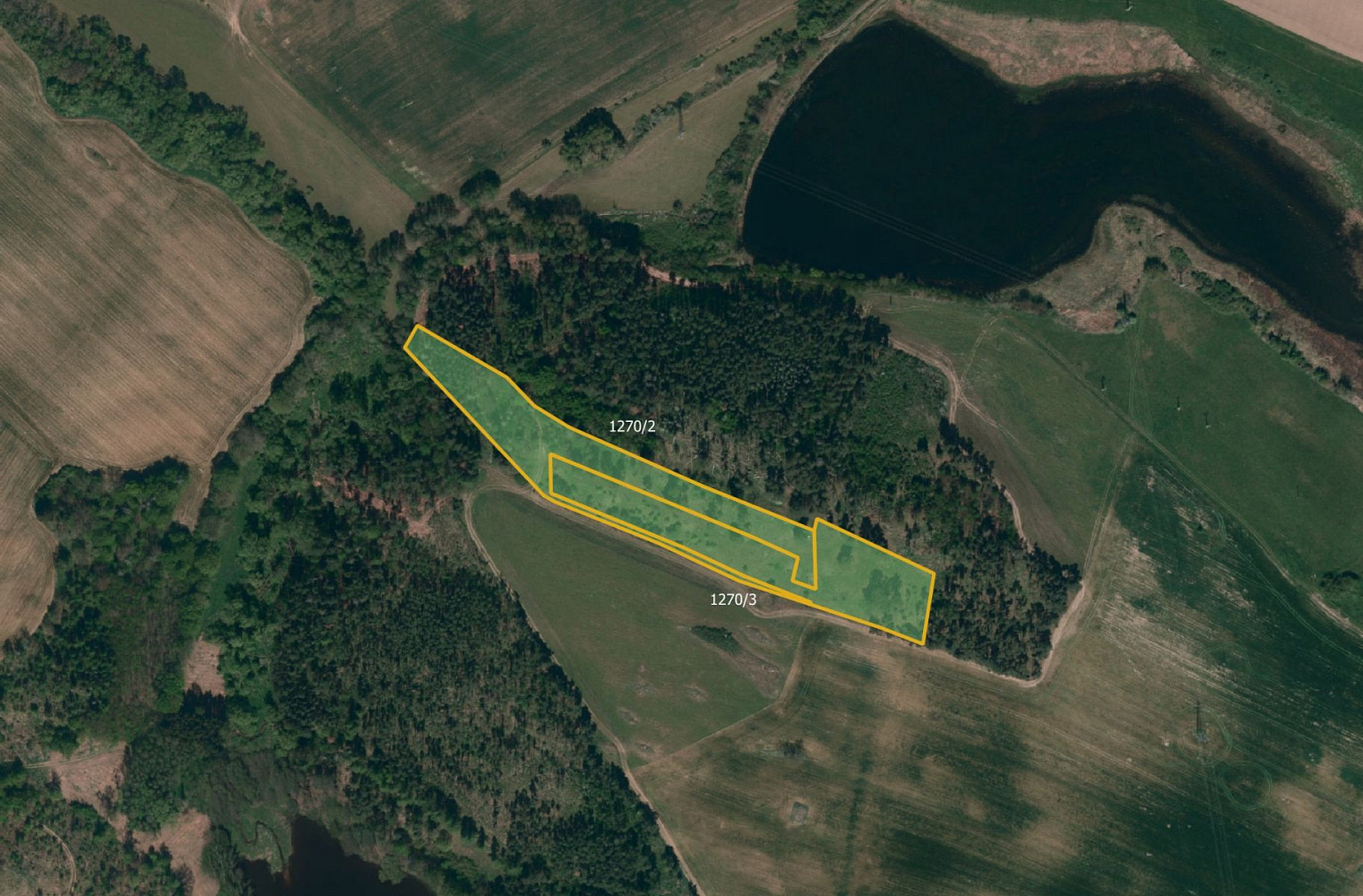 Prodej lesa 14 245 m²