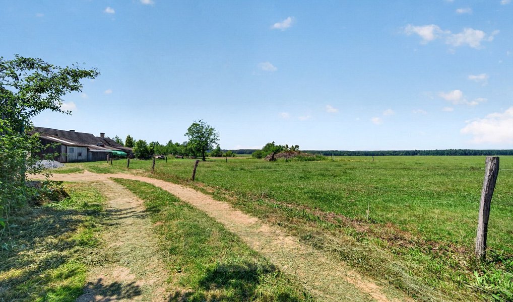 Prodej stavebního pozemku 1 168 m², Mladošovice – náhled fotky 5