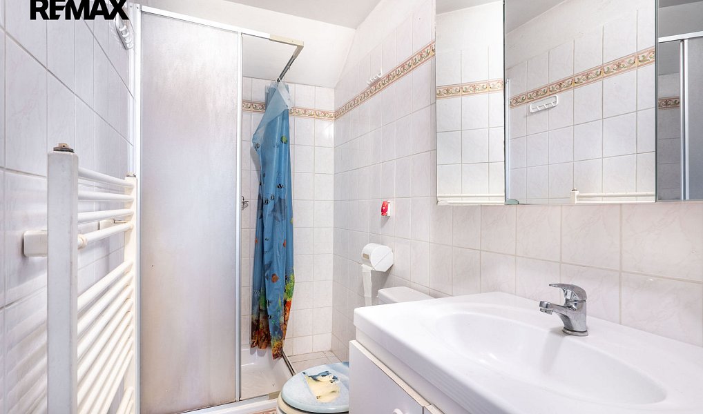 Prodej domu 237 m² s pozemkem 27 969 m², Šindelová – náhled fotky 14